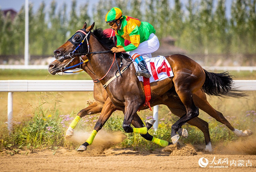 9月10日，選手在1000米2歲純血馬(在中國出生)速度賽馬比賽中。丁根厚攝