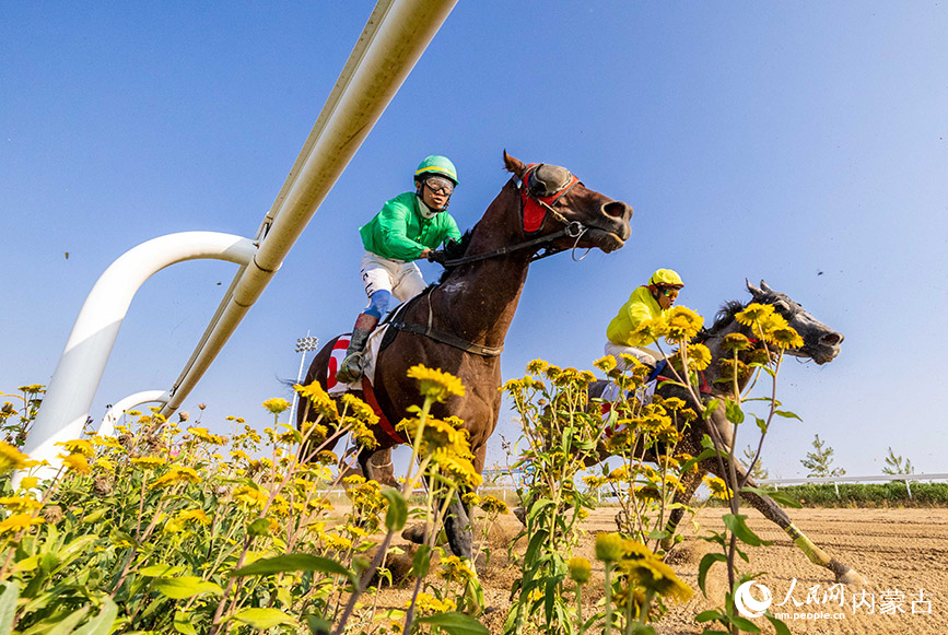 9月10日，選手在1550米4歲及以上純血馬速度賽馬比賽中。丁根厚攝