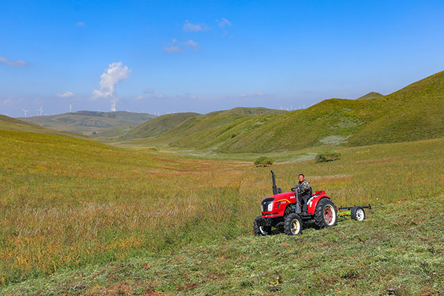 随处可见割草机、搂草机、捆草机轮番作业。