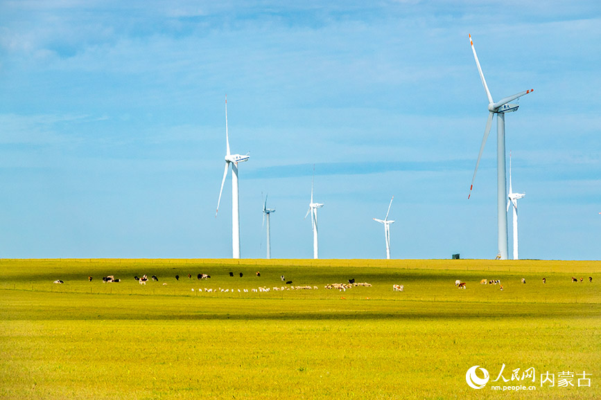 9月13日，在内蒙古呼伦贝尔市陈巴尔虎旗，一排排风力发电机与草原构成一幅美丽图景，蔚为壮观。吕昊俊摄