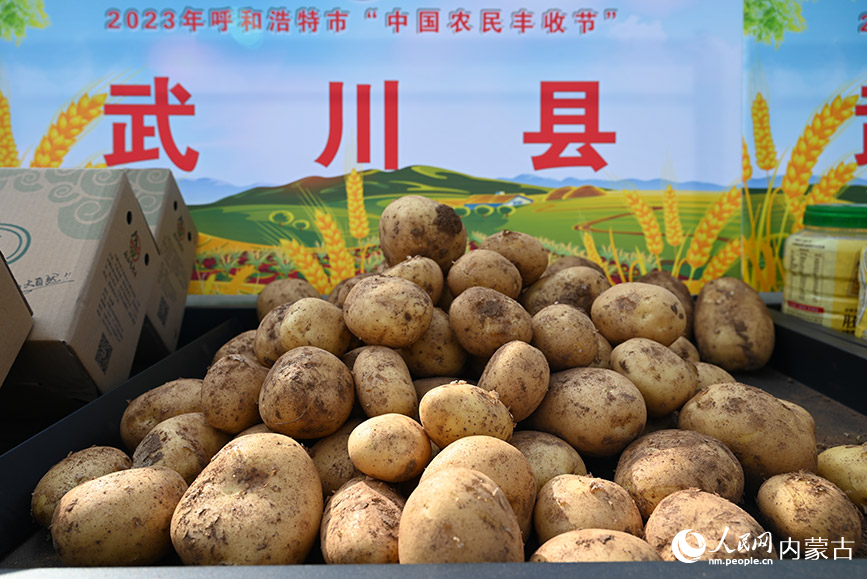 武川縣的土豆展區。實習生 常予馨攝