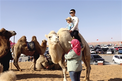 游客体验骆驼骑乘。杨学荣 摄
