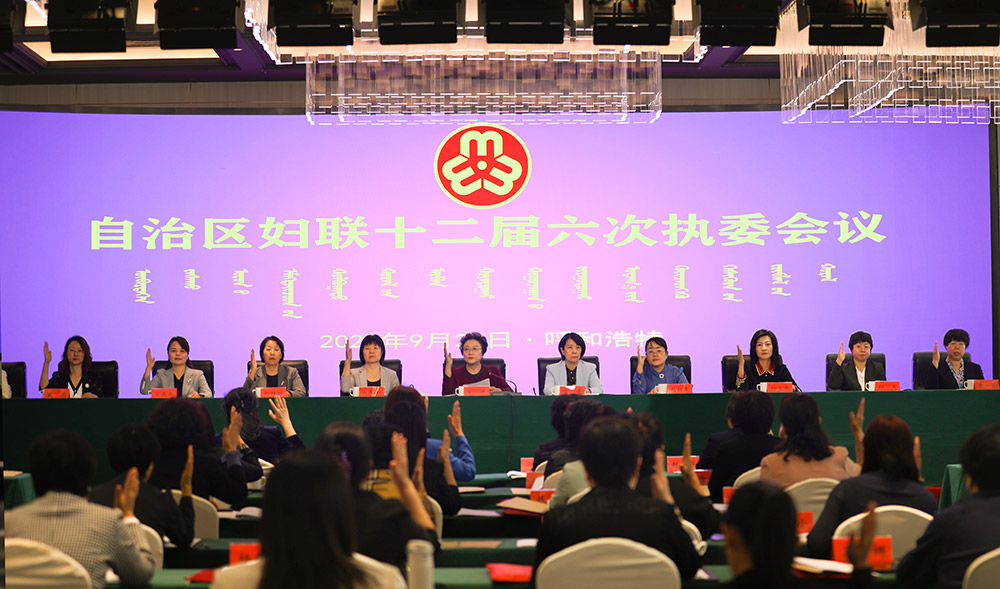 自治区妇联召开十二届六次执委会议