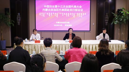 自治区妇联党组组织召开中国妇女十三大内蒙古自治区代表团行前培训会