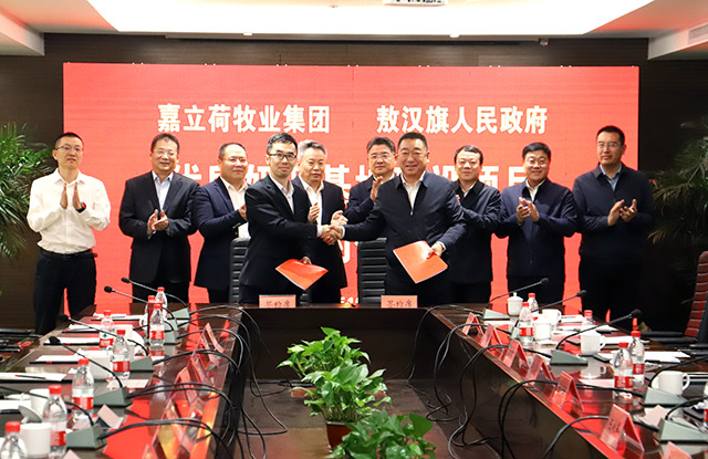 签约仪式