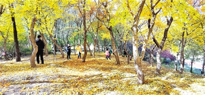 街心公園成為市民休閑打卡地。