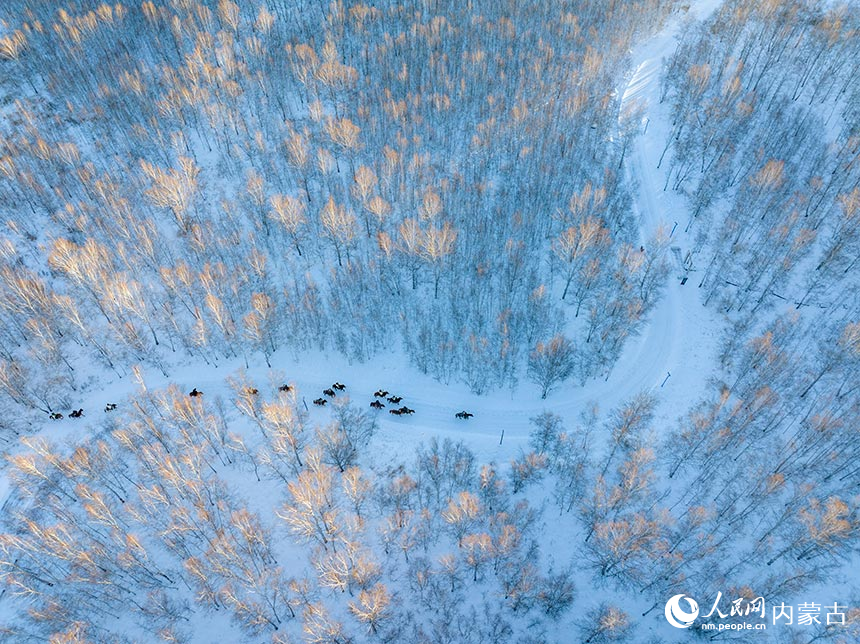 游客体验骑马穿越林海。吕昊俊摄