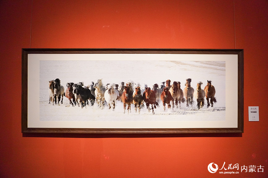 赵如意摄影作品《雪蹄逸绝》。实习生 王泽桐摄