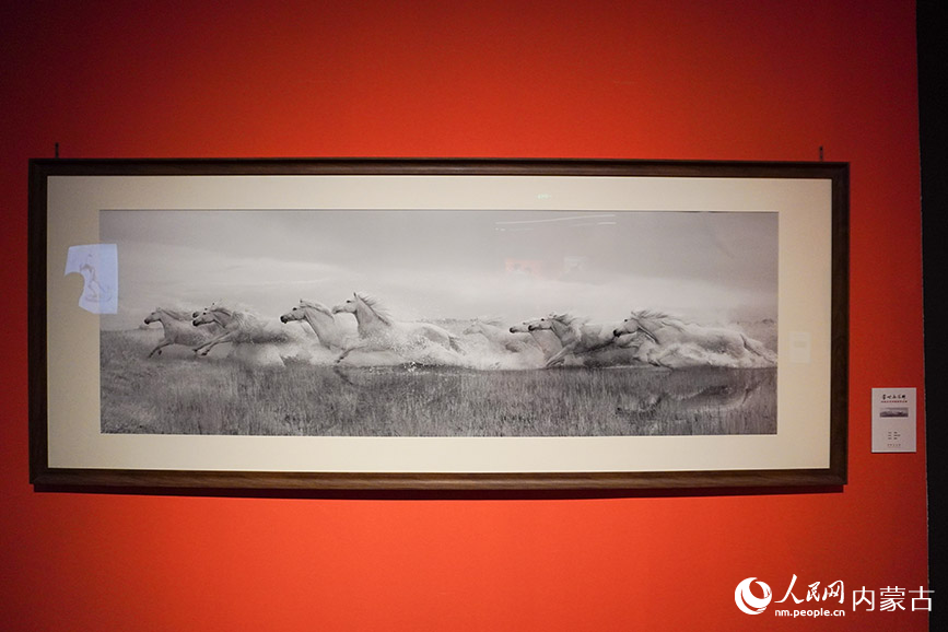 额博摄影作品《驰骋北疆》。实习生 王泽桐摄