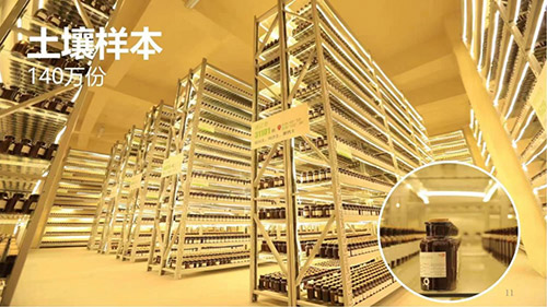 国家草业技术创新中⼼（筹）的土壤样本