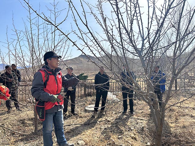姜洪海为学员讲授果树种植技巧