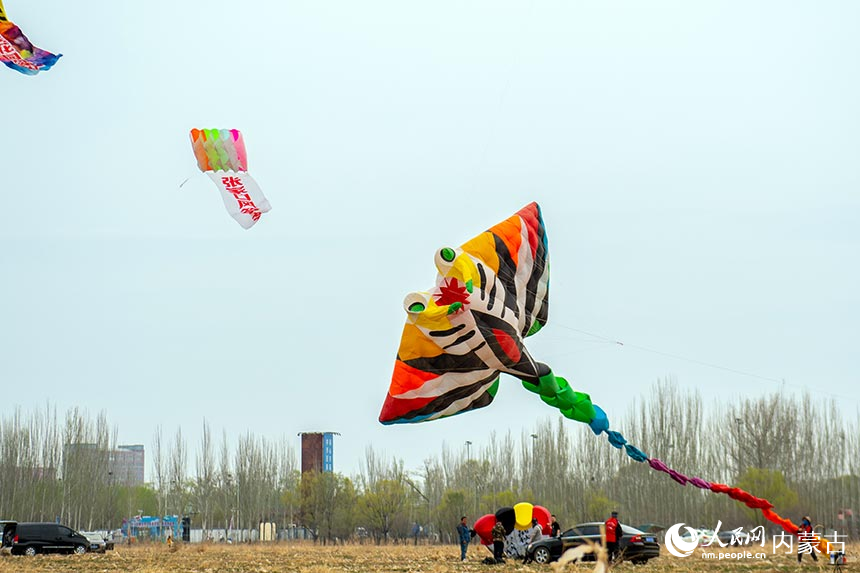 风筝队员在呼和浩特市玉泉区第九届友好城市风筝邀请赛上放飞风筝。丁根厚摄