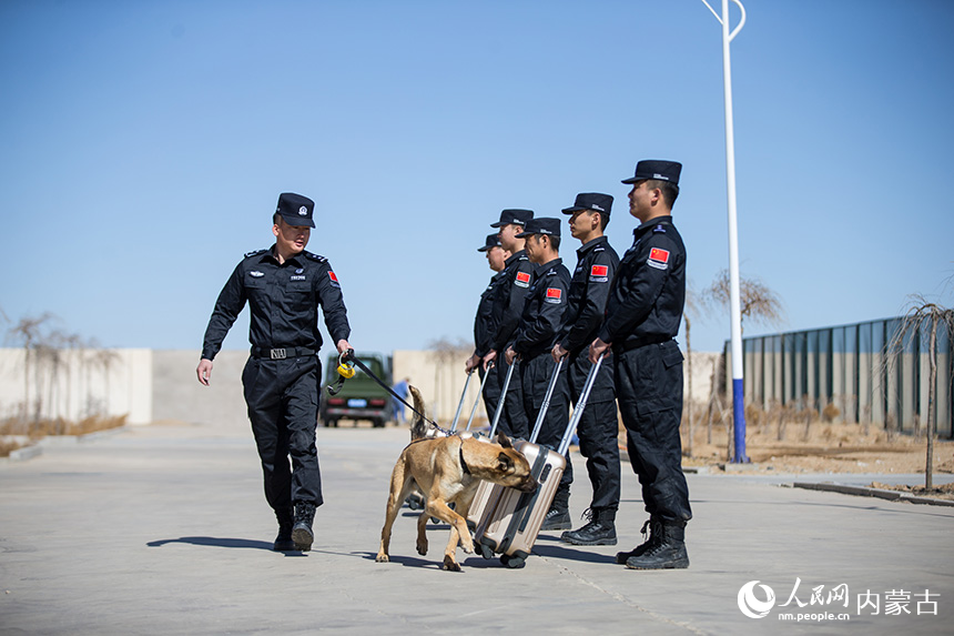 警犬训导员组织警犬进行箱包搜毒训练。郭鹏杰摄