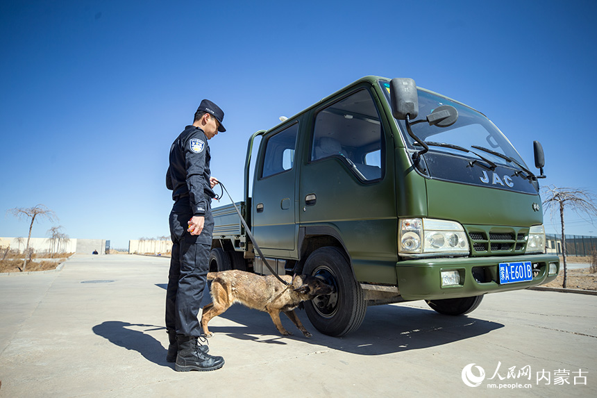 警犬訓導員組織警犬進行車體搜爆訓練。郭鵬杰攝