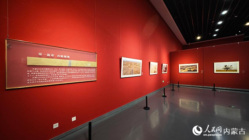 现场展出的摄影作品。人民网记者 张雪冬摄