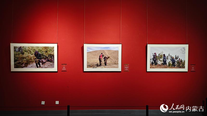 现场展出的摄影作品。人民网记者 张雪冬摄
