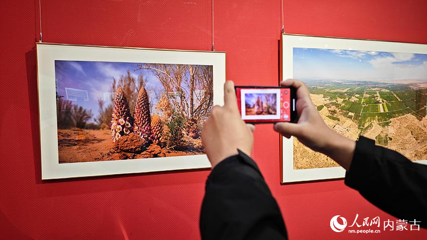 参观游客对摄影作品拍照留念。人民网记者 张雪冬摄