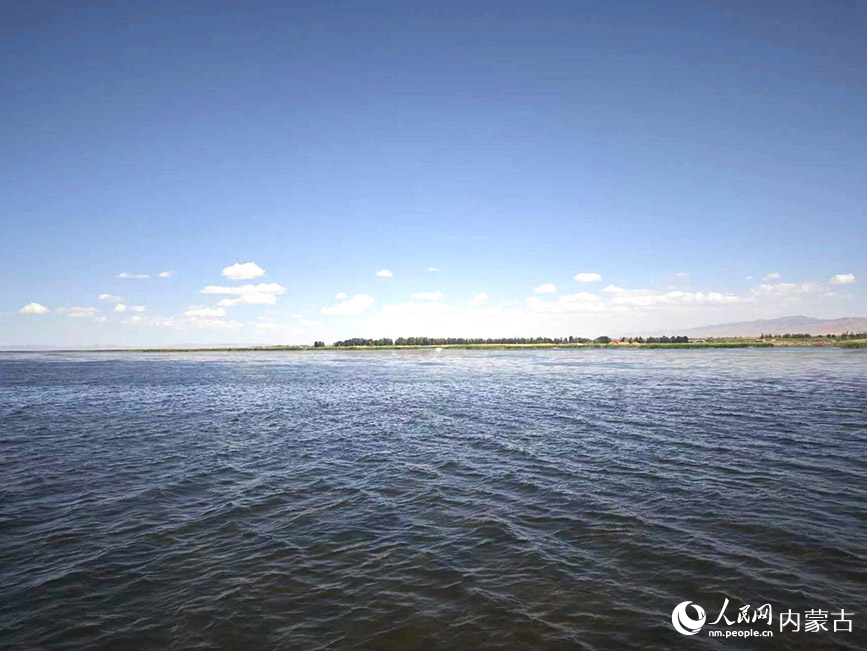 夏日乌梁素海风景如画。人民网记者 刘艺琳摄