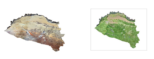 左图为2000年杭锦旗植被覆盖遥感图，右图为2023年杭锦旗植被覆盖遥感图。杭锦旗林草局供图