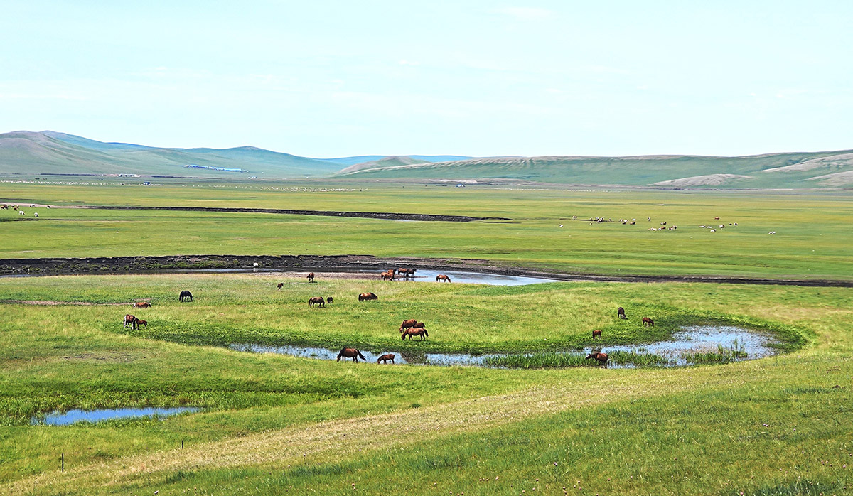 活力內蒙古丨走近“天下第一曲水”莫爾格勒河