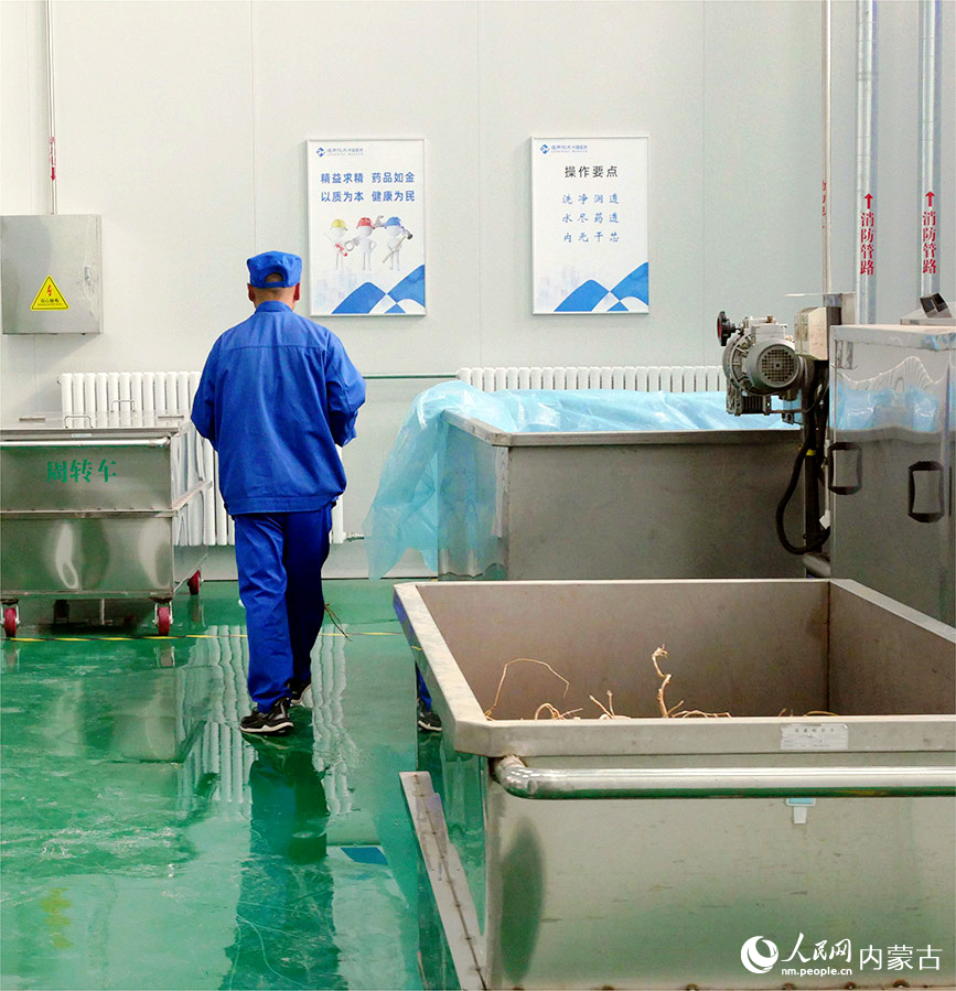 内蒙古通用中药有限公司的工作车间。实习生 仲逸茗摄