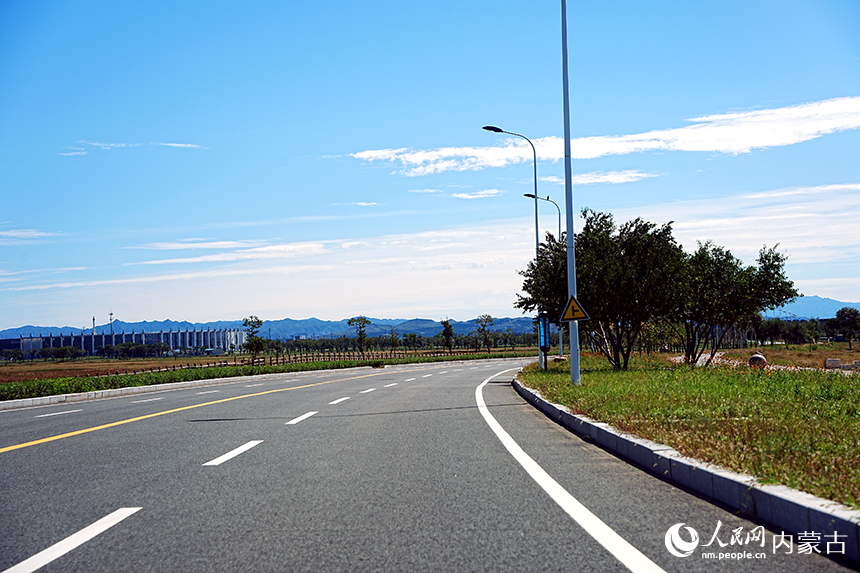 呼和塔拉东街。人民网记者 苗阳摄