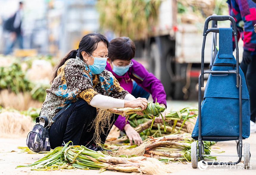 呼和浩特市玉泉区美通农产品批发市场，市民在选购冬储大葱。丁根厚摄