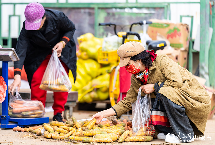 呼和浩特市玉泉区美通农产品批发市场，市民在采购胡萝卜冬储菜。丁根厚摄