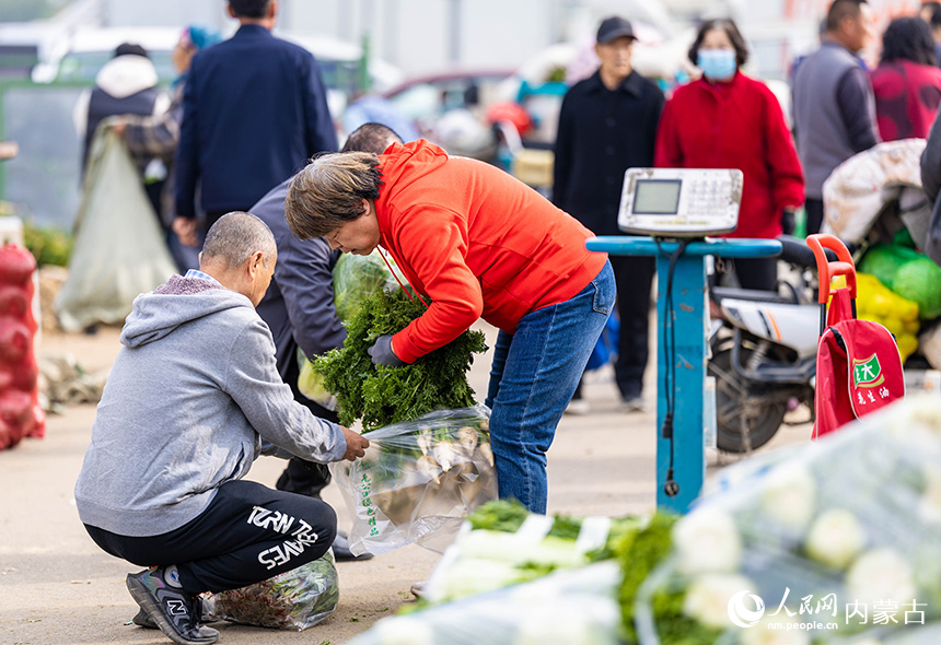 呼和浩特市玉泉區美通農產品批發市場，市民在採購腌制咸菜用的芥菜。丁根厚攝