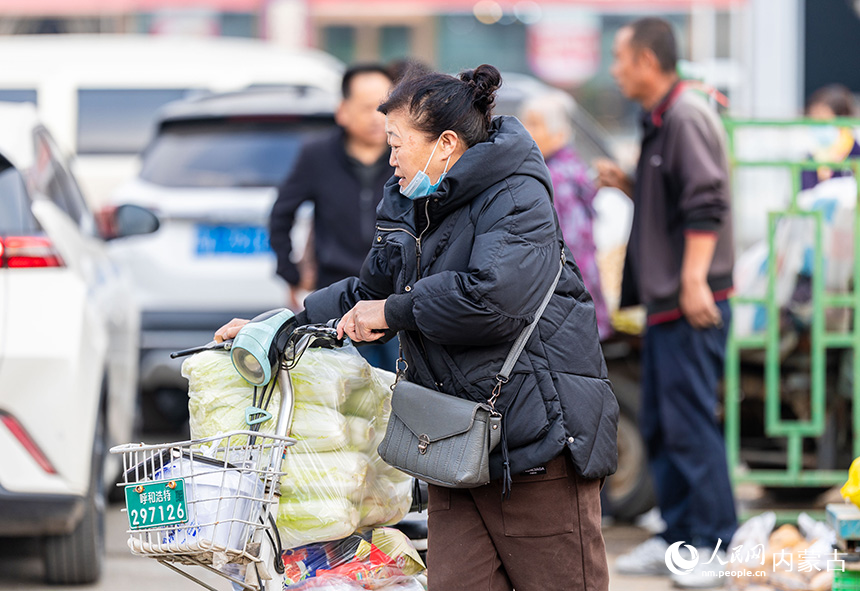 呼和浩特市玉泉区美通农产品批发市场，市民准备将购买的冬储大白菜运回家。丁根厚摄