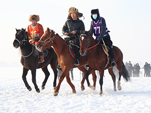 游客體驗冬季旅游的系列活動雪地賽馬