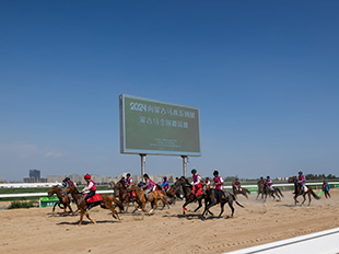 蒙古马全国邀请赛