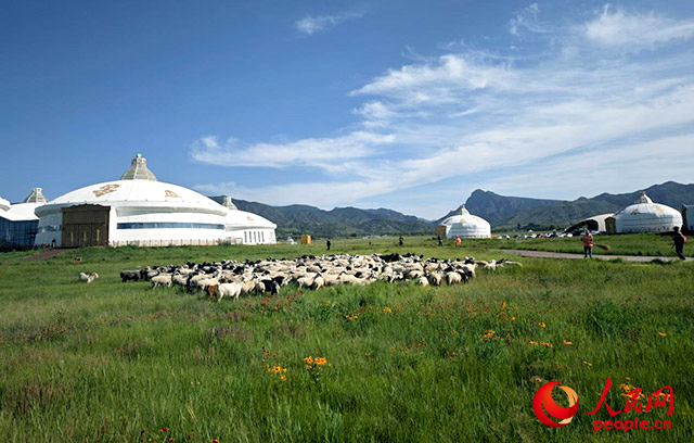                                 以綠為底色，內蒙古繪就生態藍圖                                                                                        盛夏時節，行進在敕勒川草原、庫布其沙漠光伏基地、烏梁素海、莫爾格勒河……感受“活力內蒙古”的無限生機。                                【詳細】                            