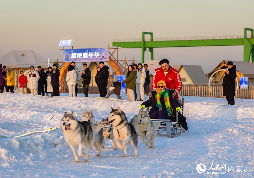 游客在第四届呼和浩特欢乐冰雪节活动现场体验狗拉雪橇项目。丁根厚摄