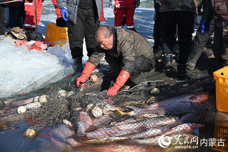 捕鱼队员正在整理渔网。 实习生 李子荟摄