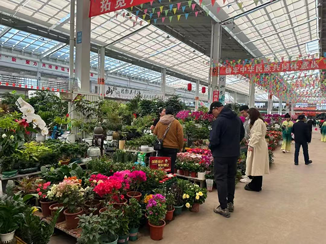 市民选购鲜花。