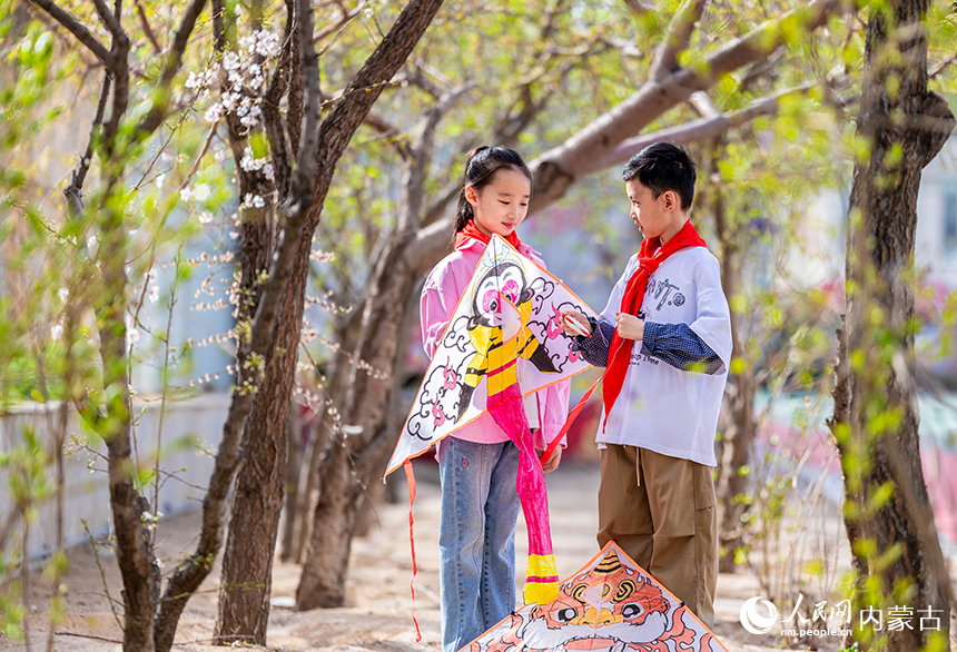 呼和浩特市玉泉區五塔寺東街小學學生在操場旁組裝調試風箏。丁根厚攝