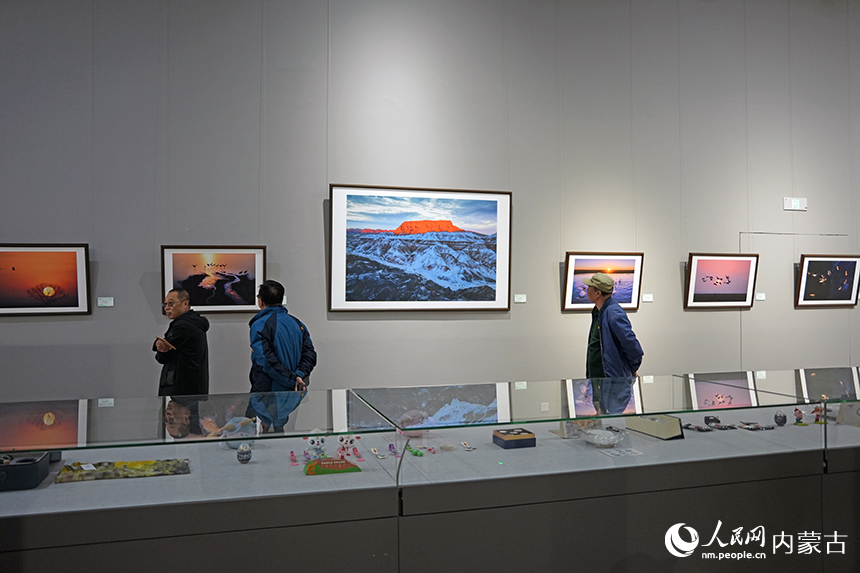 展出现场。人民网记者 赵梦月摄