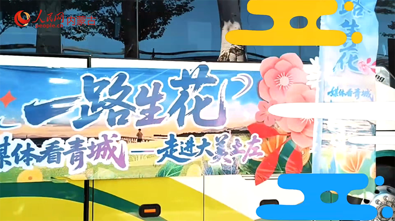 走進大美土左