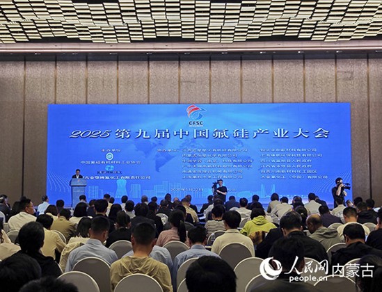 开幕式现场。人民网记者 苗阳摄