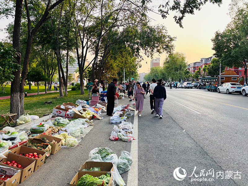 水上公園北街萬和體育公園北側集中擺在道路一側。人民網記者 張聿修攝