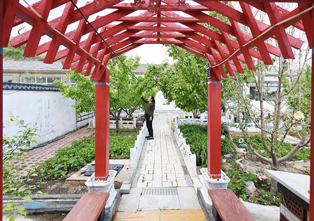 “美麗庭院”示范戶李廣茂的院子一景。 張曉鵬攝