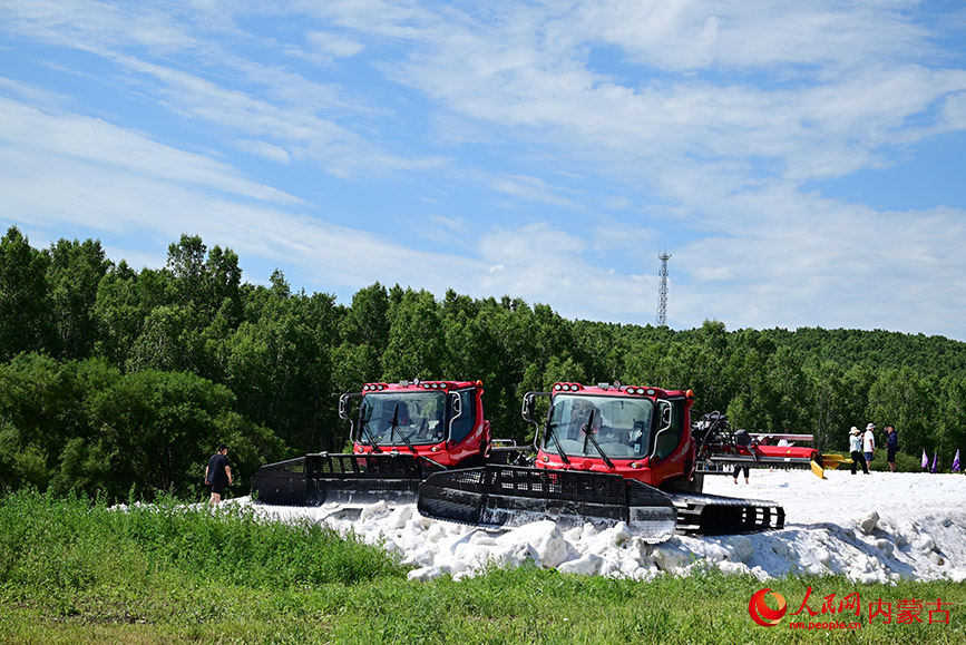 活动现场。实习生 张雅新摄