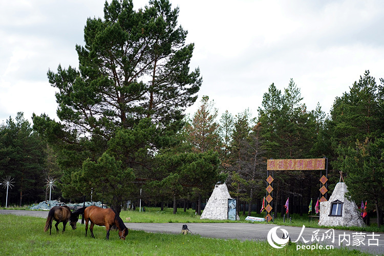 紅花爾基樟子鬆國家森林公園美景。人民網記者 李睿攝