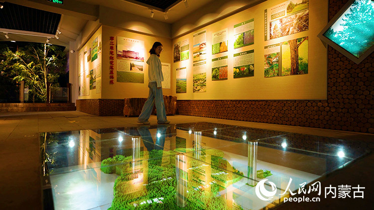 樟子鬆文化展示館。紅花爾基樟子鬆國家森林公園供圖