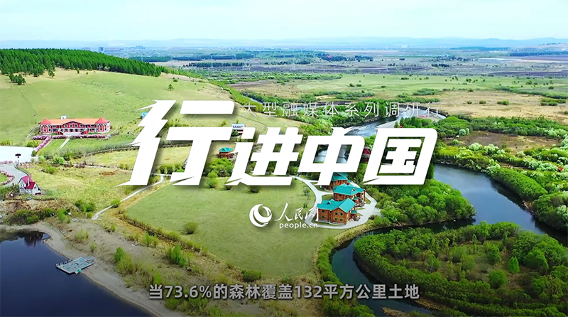 在郁郁葱葱的“林海”中“森”呼吸