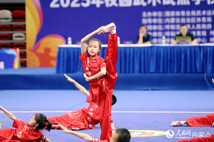 武术展示。实习生 董昱摄