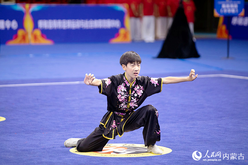 武术展示。实习生 董昱摄