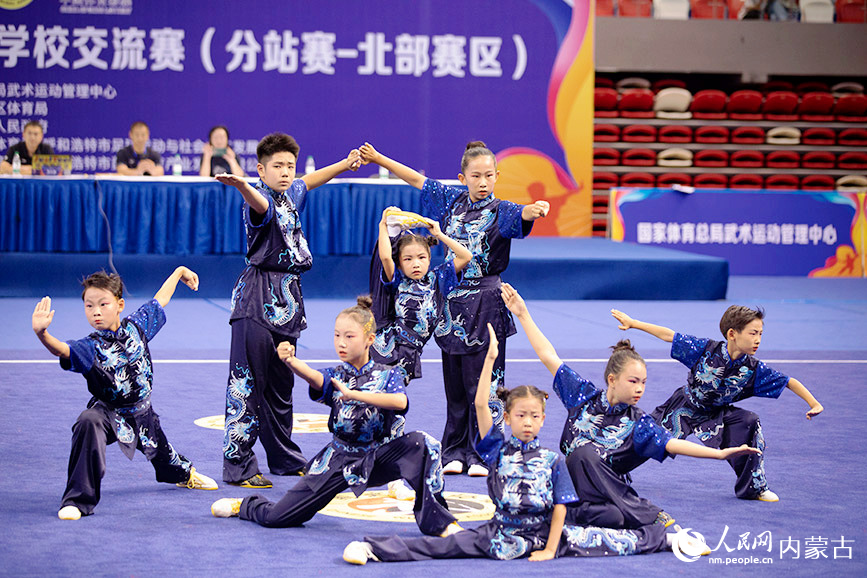 武术展示。实习生 董昱摄