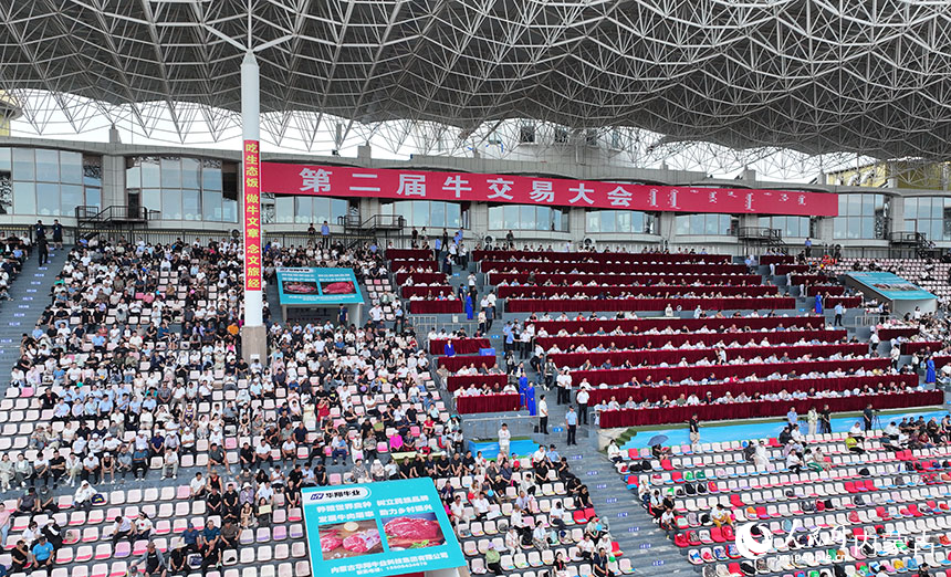 開幕式現場。白明楊攝